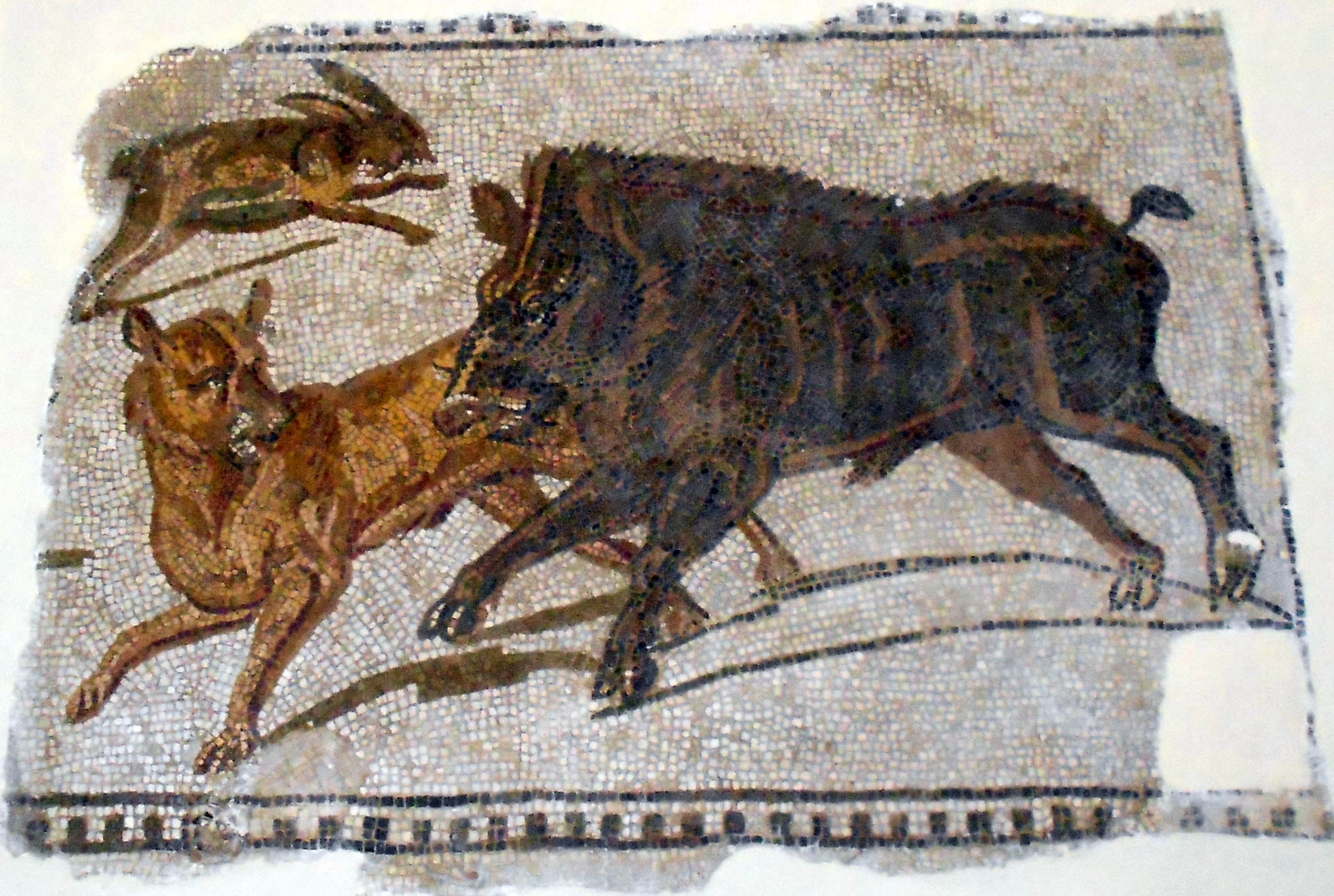 Detalle de mosaico de caza con perros en una villa de Thuburbo Majus
