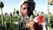 En Afganistán no ha ganado el islamismo