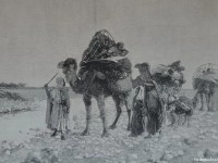 I.12.01 - Cestos sobre camellos
