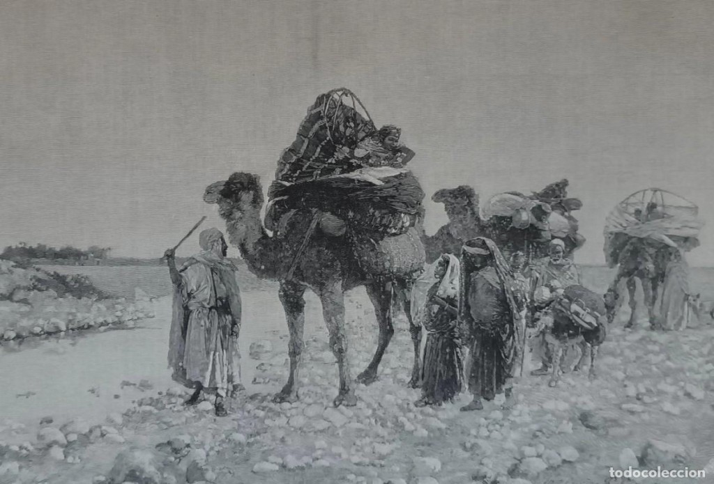 Cestos sobre camellos