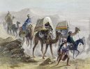 II.22.37 - Camellos con un howdah-de Émile y Adolphe Rouargue-1855