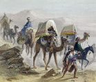 II.22.37 - Camellos con un howdah-de Émile y Adolphe Rouargue-1855