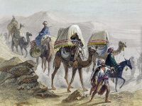 II.22.37 - Camellos con un howdah-de Émile y Adolphe Rouargue-1855